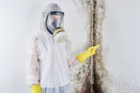 Best Water Damage & Mold Remediation  in Red Bank, NJ